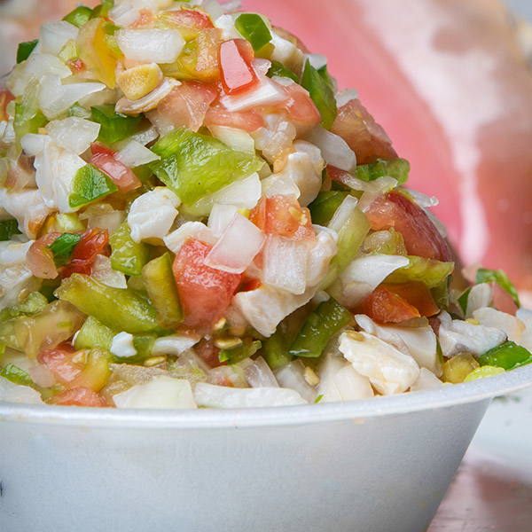 Fresh conch salad, diced conch with tomato, onion and sweet pepper, beside a conch shell