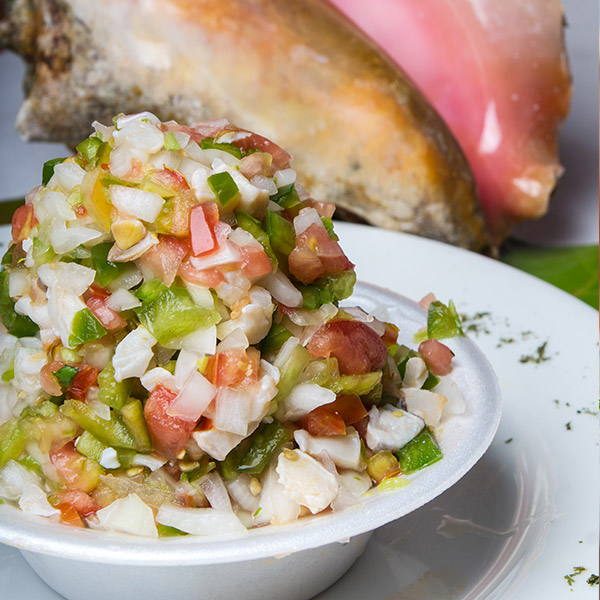 A bowl of fresh conch salad cured in citrus, beside a conch shell